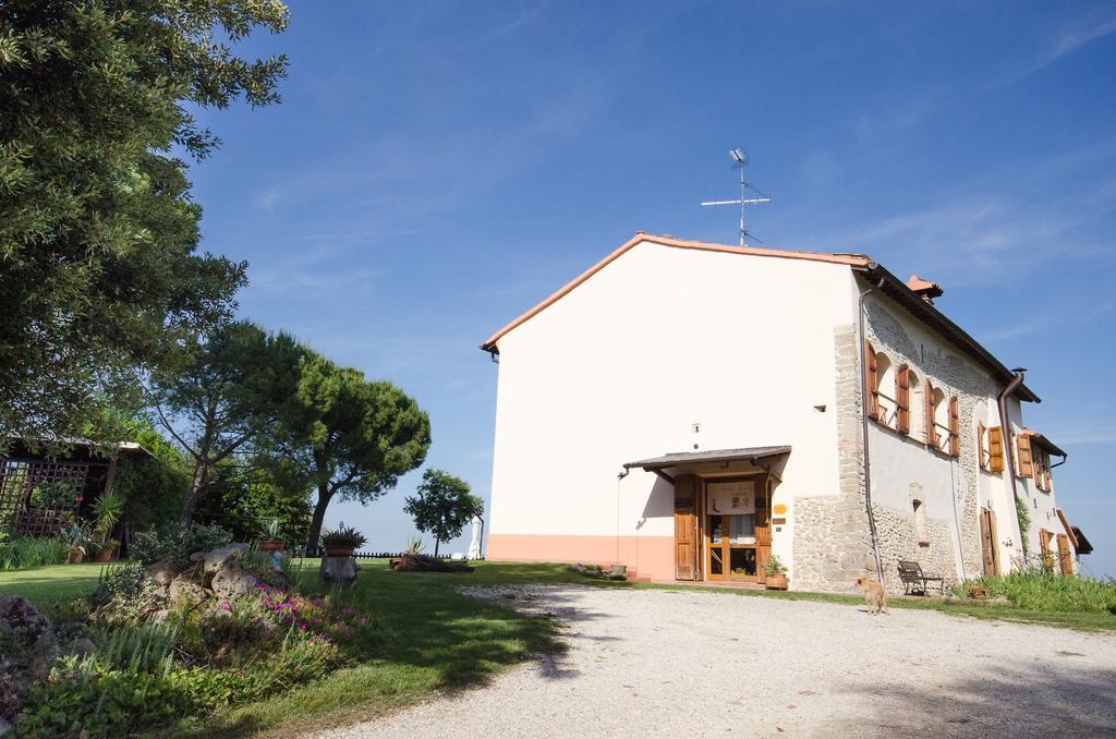 Agriturismo Ca'de'Gatti Faenza Exterior foto