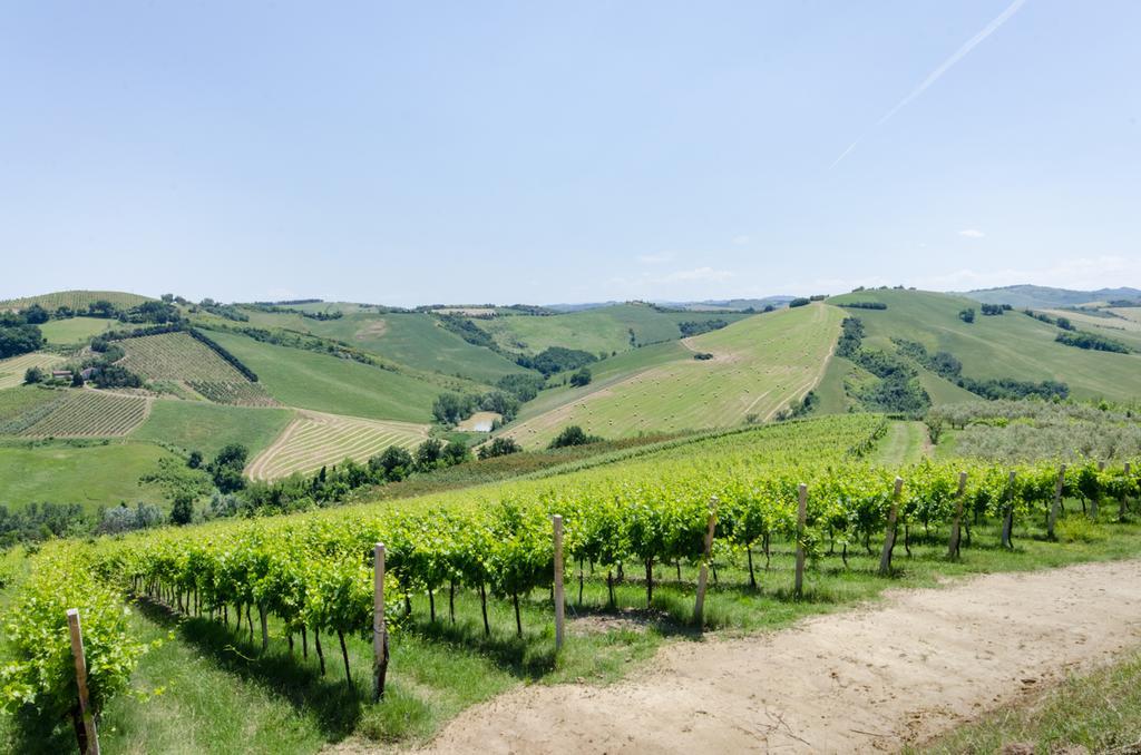 Agriturismo Ca'de'Gatti Faenza Exterior foto