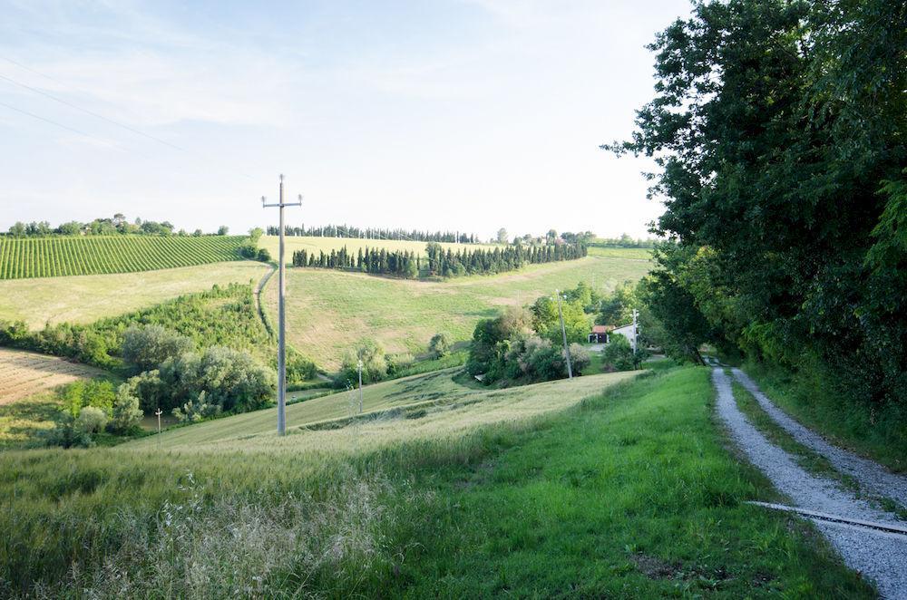 Agriturismo Ca'de'Gatti Faenza Exterior foto